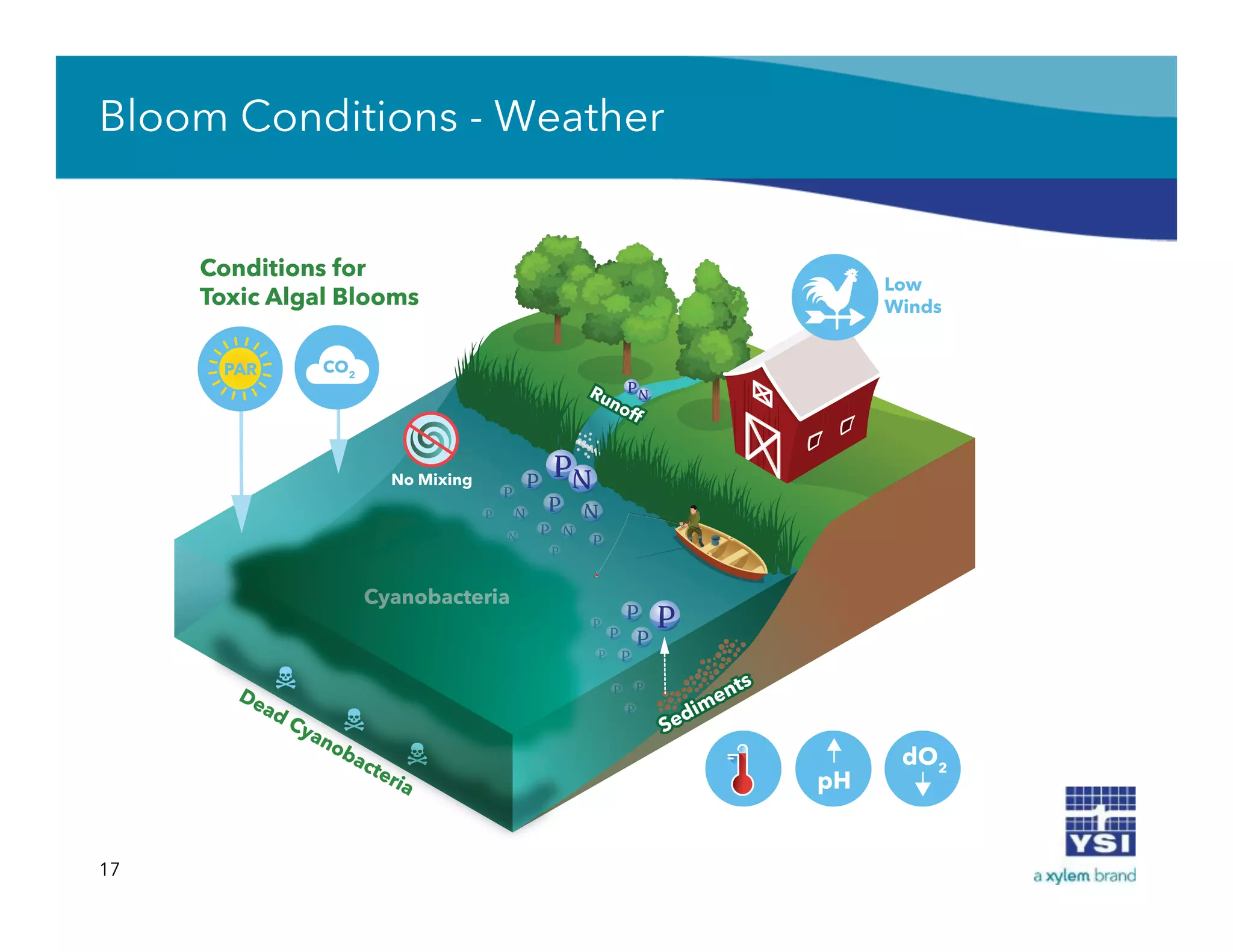 17
Bloom Conditions - Weather
 
