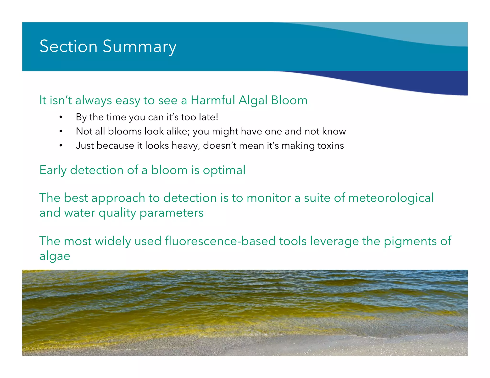 Section Summary
It isn’t always easy to see a Harmful Algal Bloom
•  By the time you can it’s too late!
•  Not all blooms look alike; you might have one and not know
•  Just because it looks heavy, doesn’t mean it’s making toxins
Early detection of a bloom is optimal
The best approach to detection is to monitor a suite of meteorological
and water quality parameters
The most widely used ﬂuorescence-based tools leverage the pigments of
algae
 