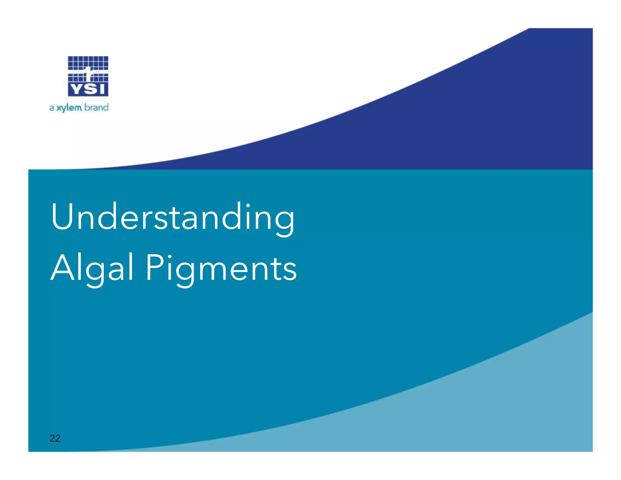 Understanding
Algal Pigments
22
 