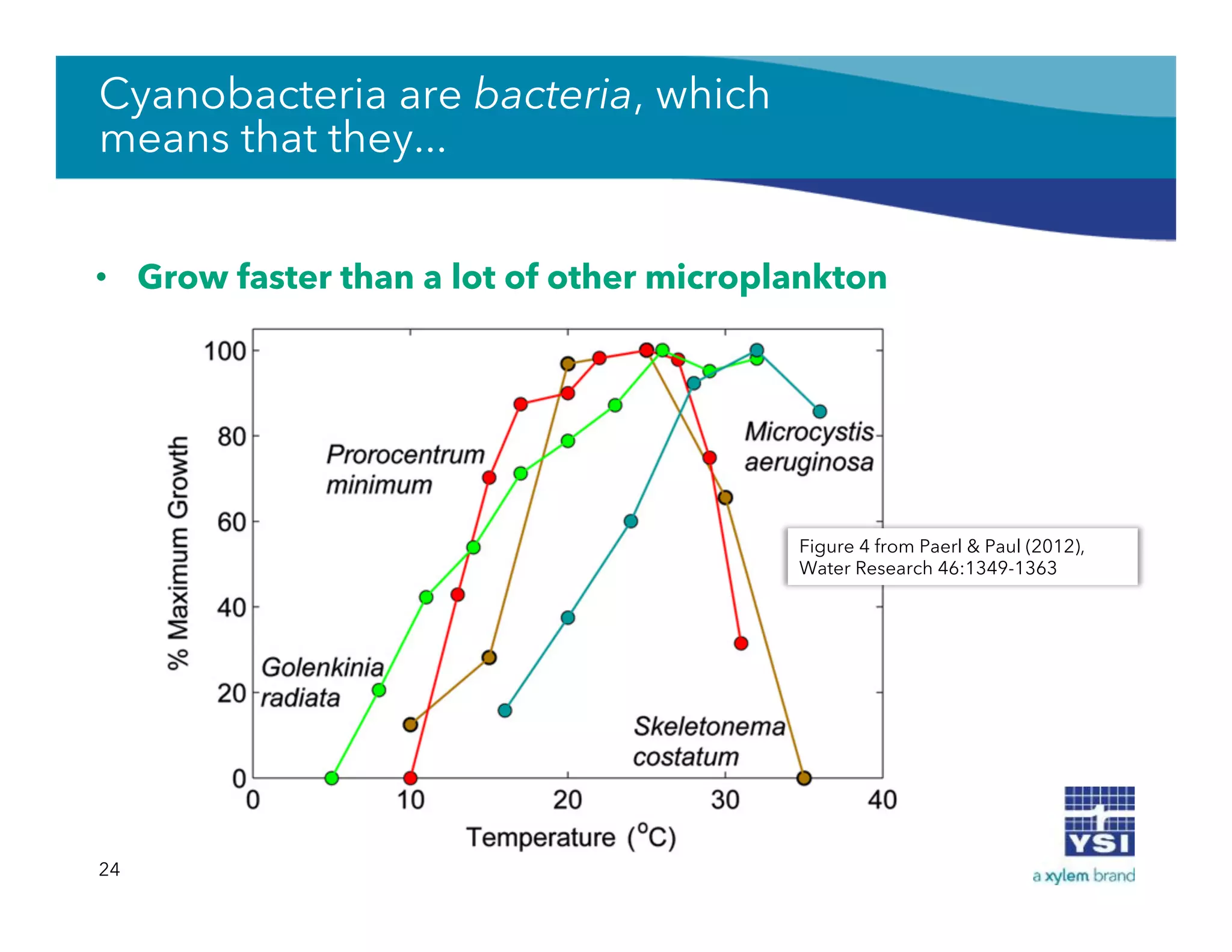 Cyanobacteria are bacteria, which
means that they...
•  Grow faster than a lot of other microplankton
24
Figure 4 from Paerl & Paul (2012),
Water Research 46:1349-1363
 