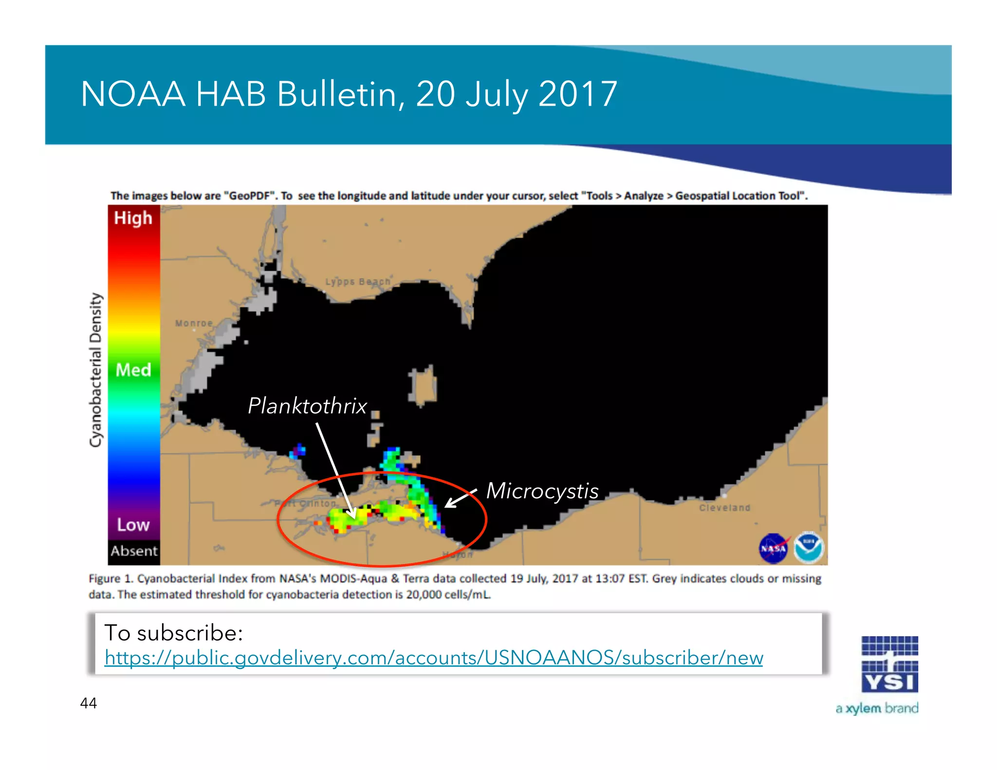 NOAA HAB Bulletin, 20 July 2017
44
Planktothrix
Microcystis
To subscribe:
https://public.govdelivery.com/accounts/USNOAANOS/subscriber/new
 