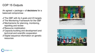COP 15 Outputs
An agreed « package » of decisions for a
balanced compromise :
✔The GBF with its 4 goals and 23 targets
✔The Monitoring Framework for the GBF
✔Mechanisms for planning, monitoring,
reporting and review
✔Resource mobilization
✔Capacity-building and development and
technical and scientific cooperation
✔Digital sequence information on genetic
resources
 