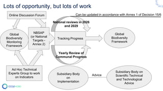 Lots of opportunity, but lots of work
Subsidiary Body on
Scientific Technical
and Technological
Advice
Global
Biodiversity
Framework
Global
Biodiversity
Monitoring
Framework
Tracking Progress
Subsidiary Body
on
Implementation
Yearly Review of
Communal Progress
Advice
National reviews in 2026
and 2029
Can be updated in accordance with Annex 1 of Decision 15/6
NBSAP
(or National
Targets -
Annex 2)
Ad Hoc Technical
Experts Group to work
on Indicators
Online Discussion Forum
 