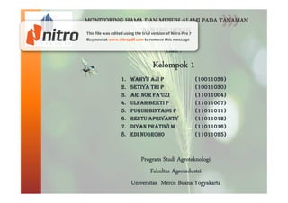 Oleh :

Kelompok 1
1.
2.
3.
4.
5.
6.
7.
8.

Wahyu Aji P
Setiya Tri P
Ari Nor Fa’uzi
Ulfah Bekti P
Puguh Bintang P
Restu Apriyanty
Diyan Pratiwi M
Edi Nugroho

(10011036)
(10011030)
(11011004)
(11011007)
(11011011)
(11011012)
(11011016)
(11011025)

Program Studi Agroteknologi
Fakultas Agroindustri
Universitas Mercu Buana Yogyakarta

 