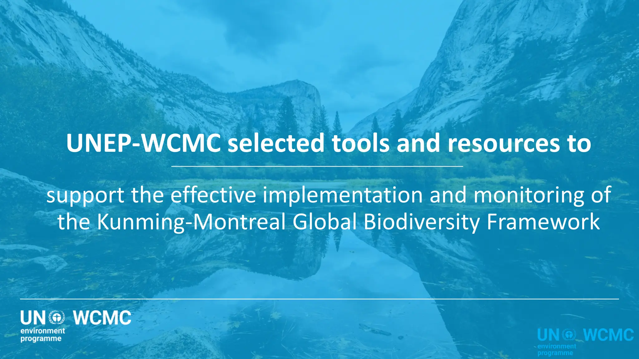 Monitoring Implementation of the Kunming Montreal Global Biodiversity ...