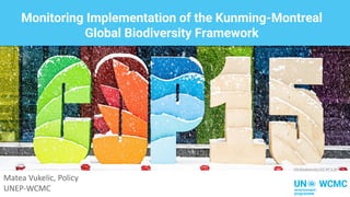 Monitoring Implementation of the Kunming-Montreal
Global Biodiversity Framework
UN Biodiversity (CC BY 2.0)
Matea Vukelic, Policy
UNEP-WCMC
 