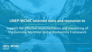 Monitoring Implementation of the Kunming Montreal Global Biodiversity ...