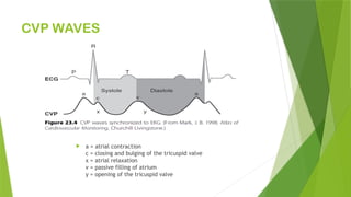  a = atrial contraction
c = closing and bulging of the tricuspid valve
x = atrial relaxation
v = passive filling of atrium
y = opening of the tricuspid valve
CVP WAVES
 
