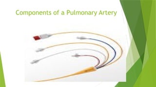 Components of a Pulmonary Artery
Catheter
 