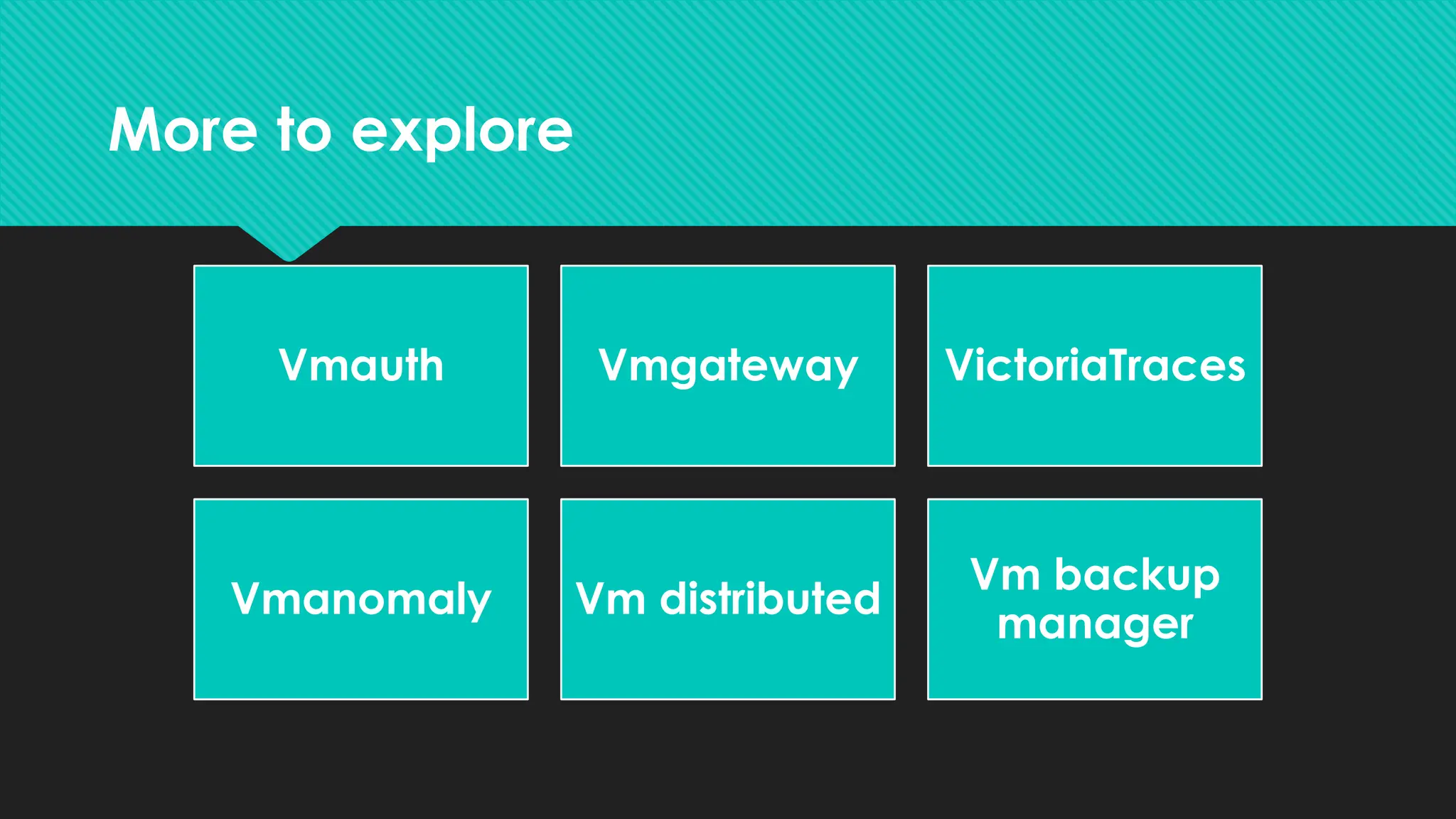 More to explore
Vmauth Vmgateway VictoriaTraces
Vmanomaly Vm distributed
Vm backup
manager
 