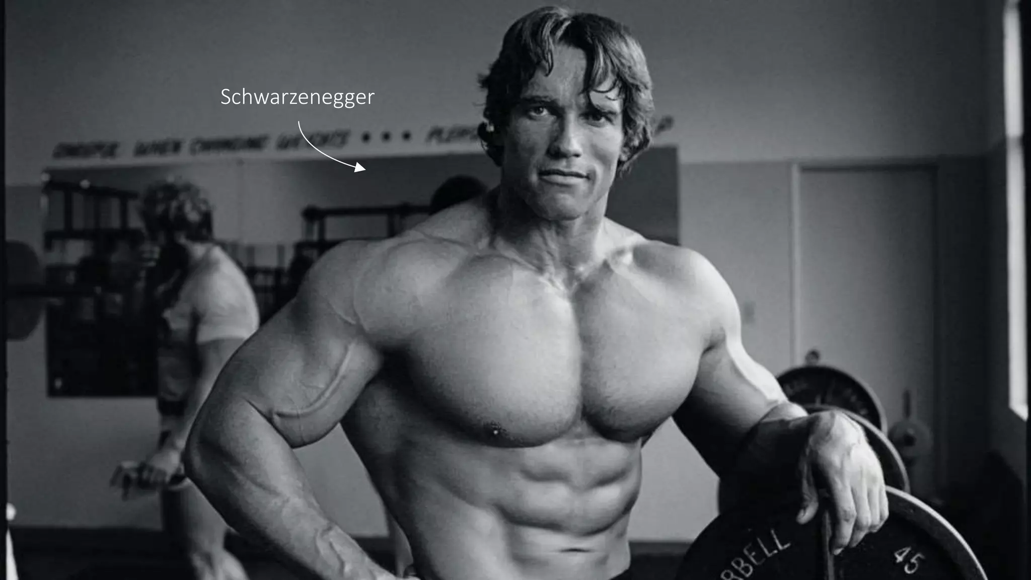 Schwarzenegger
 