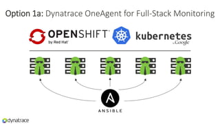 Option 1a: Dynatrace OneAgent for Full-Stack Monitoring
 