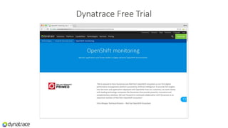 Dynatrace Free Trial
 