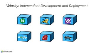 Velocity: Independent Development and Deployment
 
