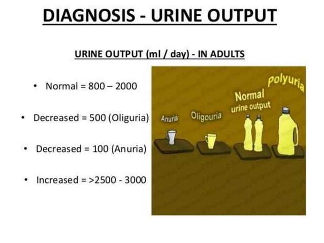 monitoring of intake and output.pptx