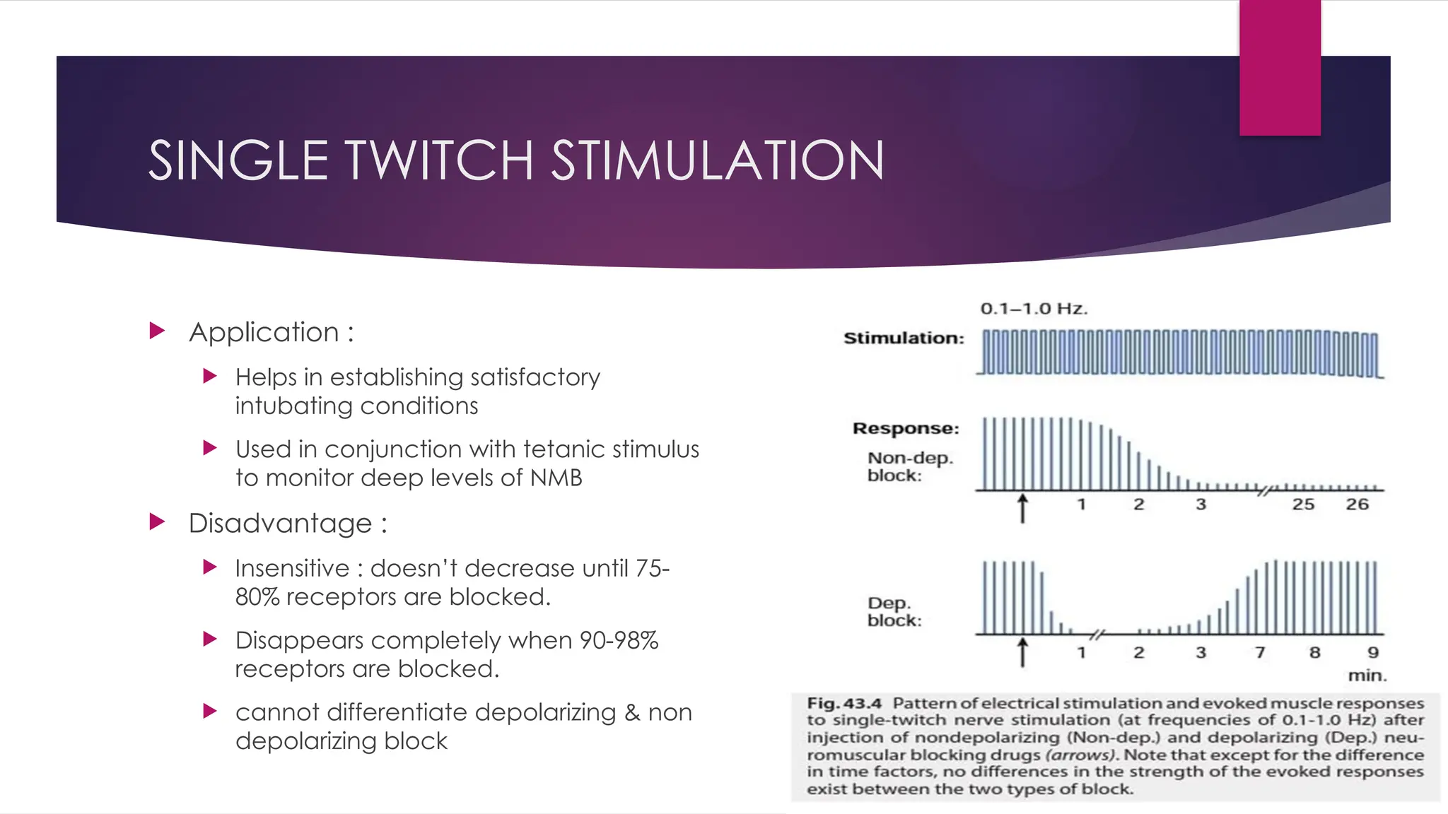 SINGLE TWITCH STIMULATION
 Application :
 Helps in establishing satisfactory
intubating conditions
 Used in conjunction with tetanic stimulus
to monitor deep levels of NMB
 Disadvantage :
 Insensitive : doesn’t decrease until 75-
80% receptors are blocked.
 Disappears completely when 90-98%
receptors are blocked.
 cannot differentiate depolarizing & non
depolarizing block
 