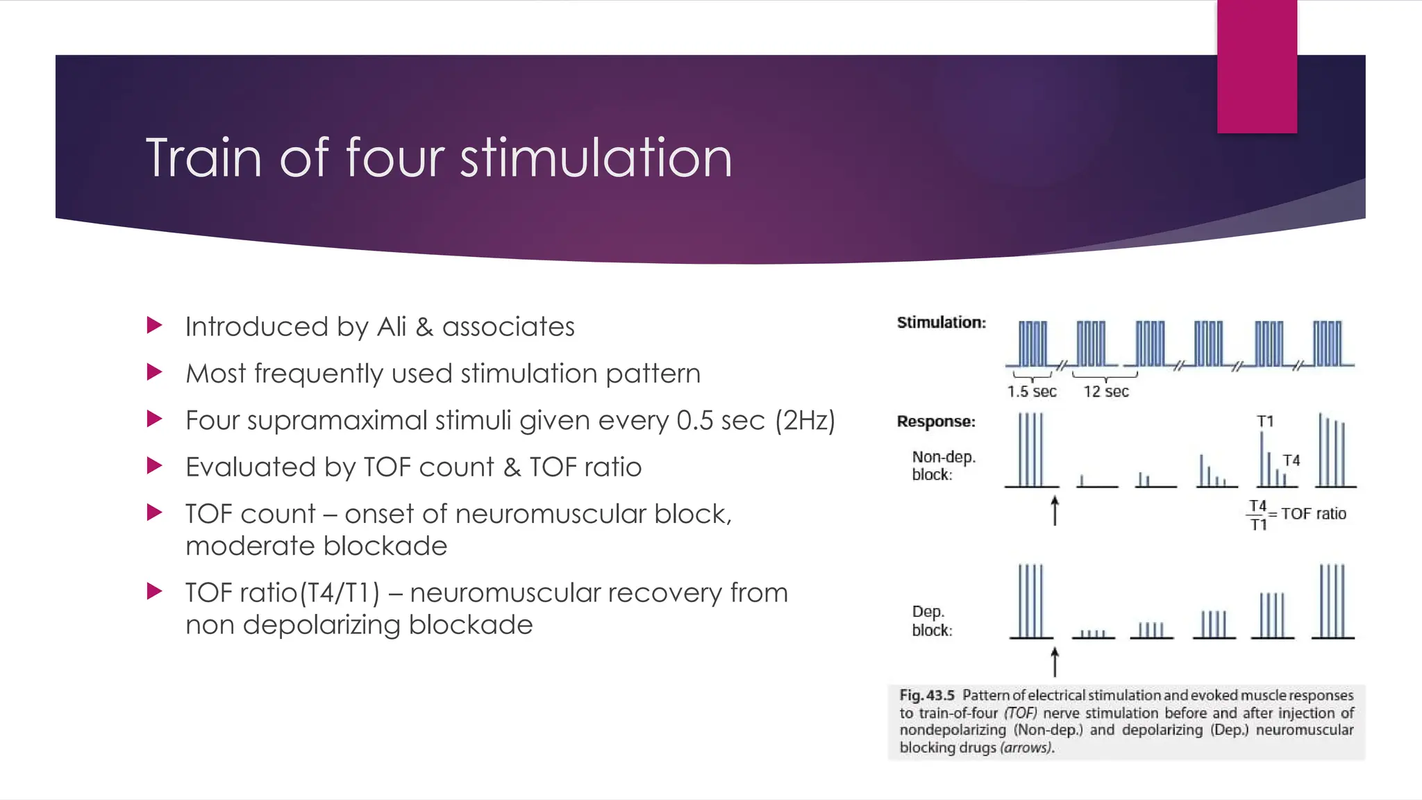 Train of four stimulation
 Introduced by Ali & associates
 Most frequently used stimulation pattern
 Four supramaximal stimuli given every 0.5 sec (2Hz)
 Evaluated by TOF count & TOF ratio
 TOF count – onset of neuromuscular block,
moderate blockade
 TOF ratio(T4/T1) – neuromuscular recovery from
non depolarizing blockade
 