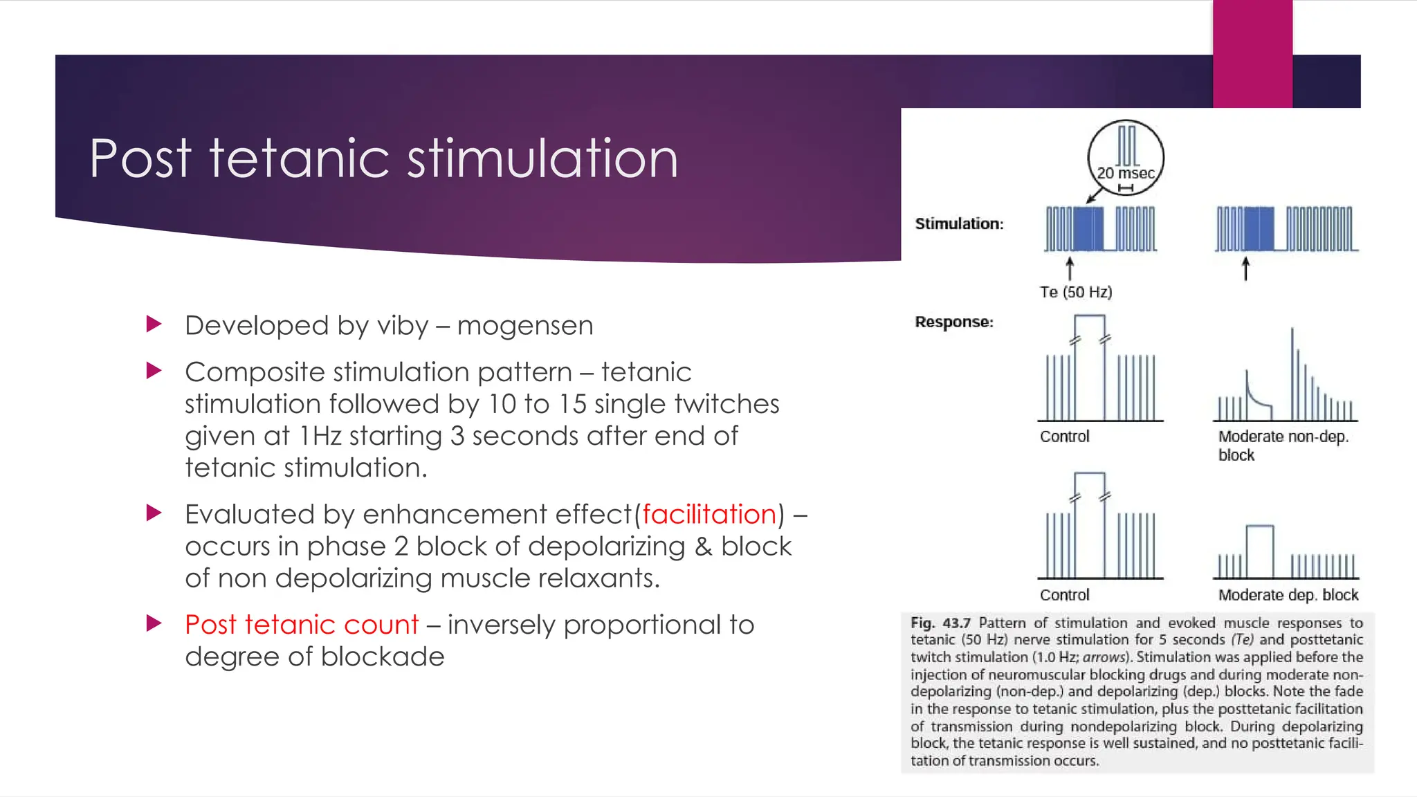 Post tetanic stimulation
 Developed by viby – mogensen
 Composite stimulation pattern – tetanic
stimulation followed by 10 to 15 single twitches
given at 1Hz starting 3 seconds after end of
tetanic stimulation.
 Evaluated by enhancement effect(facilitation) –
occurs in phase 2 block of depolarizing & block
of non depolarizing muscle relaxants.
 Post tetanic count – inversely proportional to
degree of blockade
 