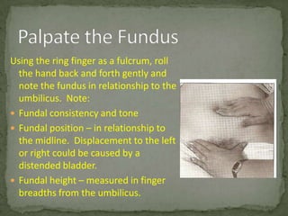 Roll Bladder Monitoring Postpartum Recovery Pp Inservice | PPTX