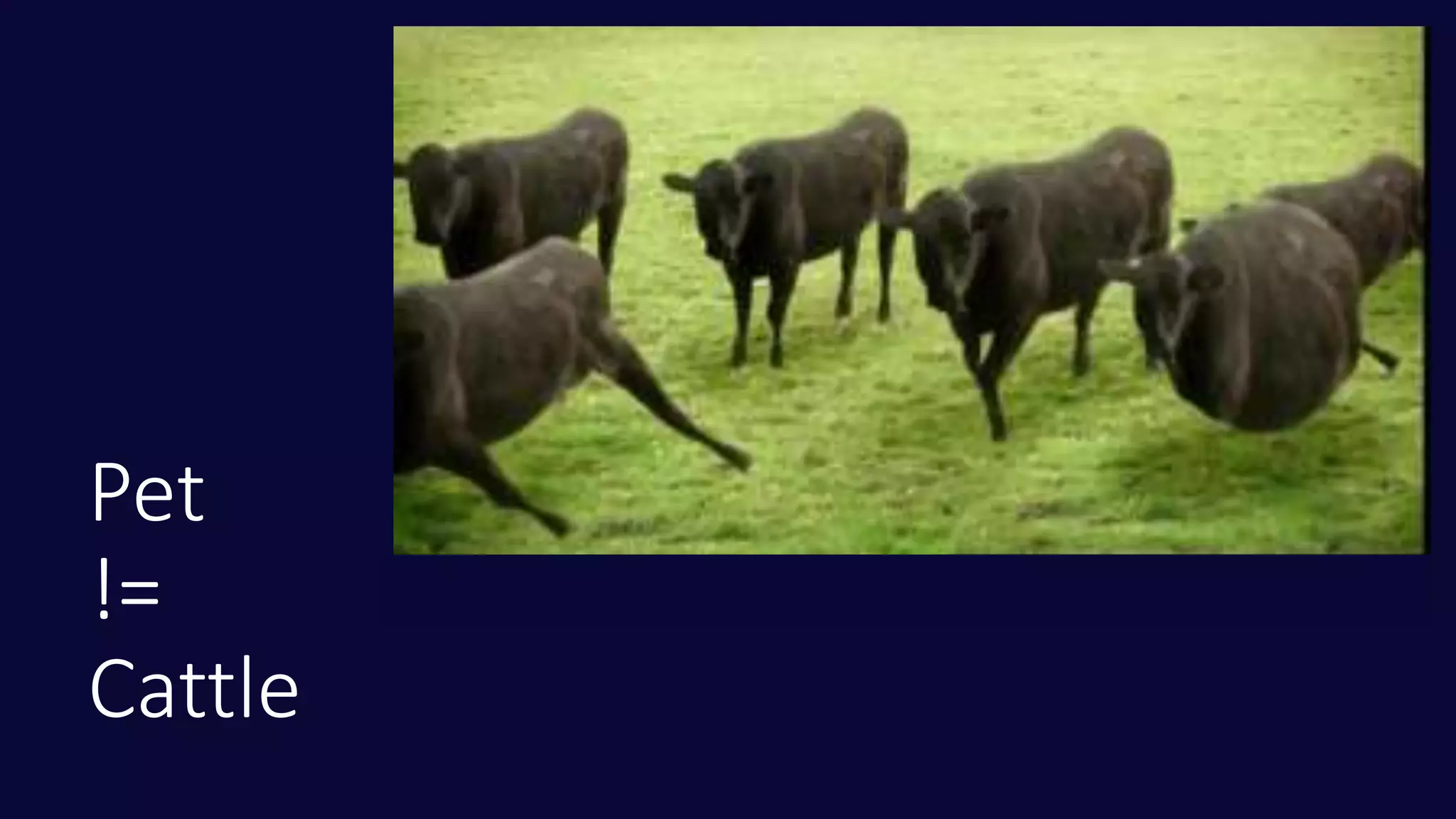 Pet
!=
Cattle
 