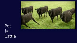 Pet
!=
Cattle
 