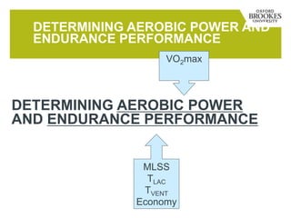 DETERMINING AEROBIC POWER AND
ENDURANCE PERFORMANCE
DETERMINING AEROBIC POWER
AND ENDURANCE PERFORMANCE
MLSS
TLAC
TVENT
Economy
VO2max
 