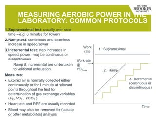 MEASURING AEROBIC POWER IN THE
LABORATORY: COMMON PROTOCOLS
1.Supramaximal test: usually over race
time – e.g. 6 minutes for rowers
2.Ramp test: continuous and seamless
increase in speed/power
3.Incremental test: step increases in
speed/ power; may be continuous or
discontinuous
Ramp & incremental are undertaken
to volitional exhaustion.
Measures:
• Expired air is normally collected either
continuously or for 1 minute at relevant
points throughout the test for
determination of gas exchange variables
(VE, VO2 , VCO2 ).
• Heart rate and RPE are usually recorded
• Blood may also be removed for (lactate
or other metabolites) analysis
1. Supramaximal
2. Ramp
3. Incremental
(continuous or
discontinuous)
Time
Work
rate
Workrate
@
VO2max
 
