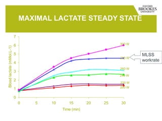 MAXIMAL LACTATE STEADY STATE
0
1
2
3
4
5
6
7
0 5 10 15 20 25 30
Time (min)
Bloodlactate(mMol.L-1)
200 W
220 W
240 W
260 W
280 W
300 W
MLSS
workrate
 