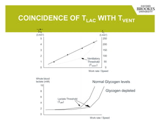 COINCIDENCE OF TLAC WITH TVENT
Whole blood
lactate (mM)
10
8
6
4
2
0
Work rate / Speed
Lactate Threshold
(TLAC)
5
4
3
2
1
0
Work rate / Speed
VO2
(l.min-1
)
250
200
150
100
50
0
VE
(l.min-1
)
Ventilatory
Threshold
(TVENT)
Glycogen depleted
Normal Glycogen levels
 