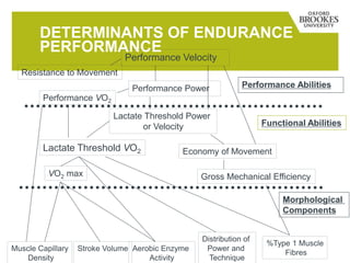DETERMINANTS OF ENDURANCE
PERFORMANCE
%Type 1 Muscle
Fibres
Performance Velocity
Performance Power
Resistance to Movement
Performance VO2
Lactate Threshold Power
or Velocity
Lactate Threshold VO2
VO2 max
Economy of Movement
Gross Mechanical Efficiency
Muscle Capillary
Density
Stroke Volume Aerobic Enzyme
Activity
Distribution of
Power and
Technique
Functional Abilities
Performance Abilities
Morphological
Components
 