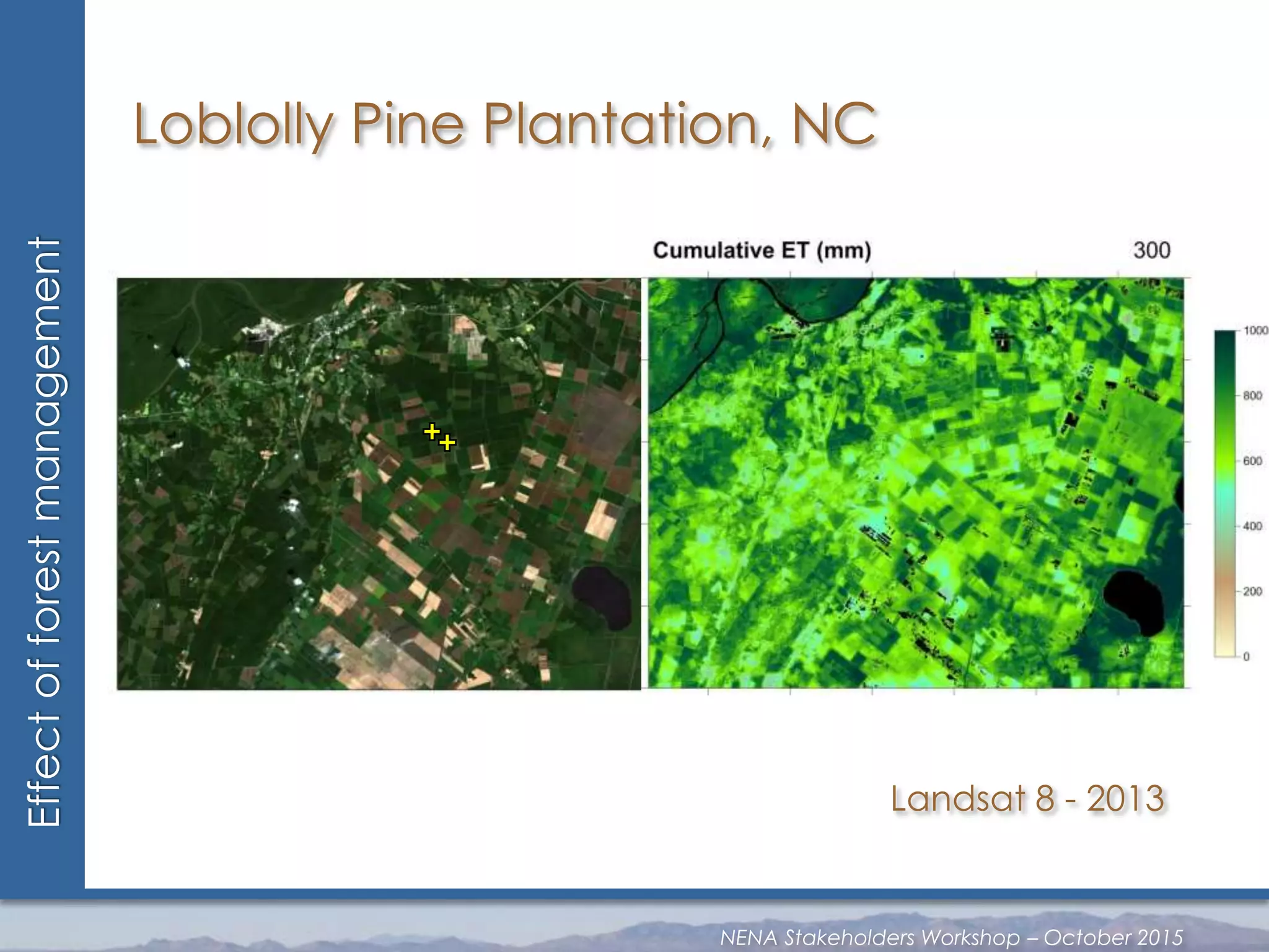 Loblolly Pine Plantation, NC
Landsat 8 - 2013
Effectofforestmanagement
NENA Stakeholders Workshop – October 2015
 