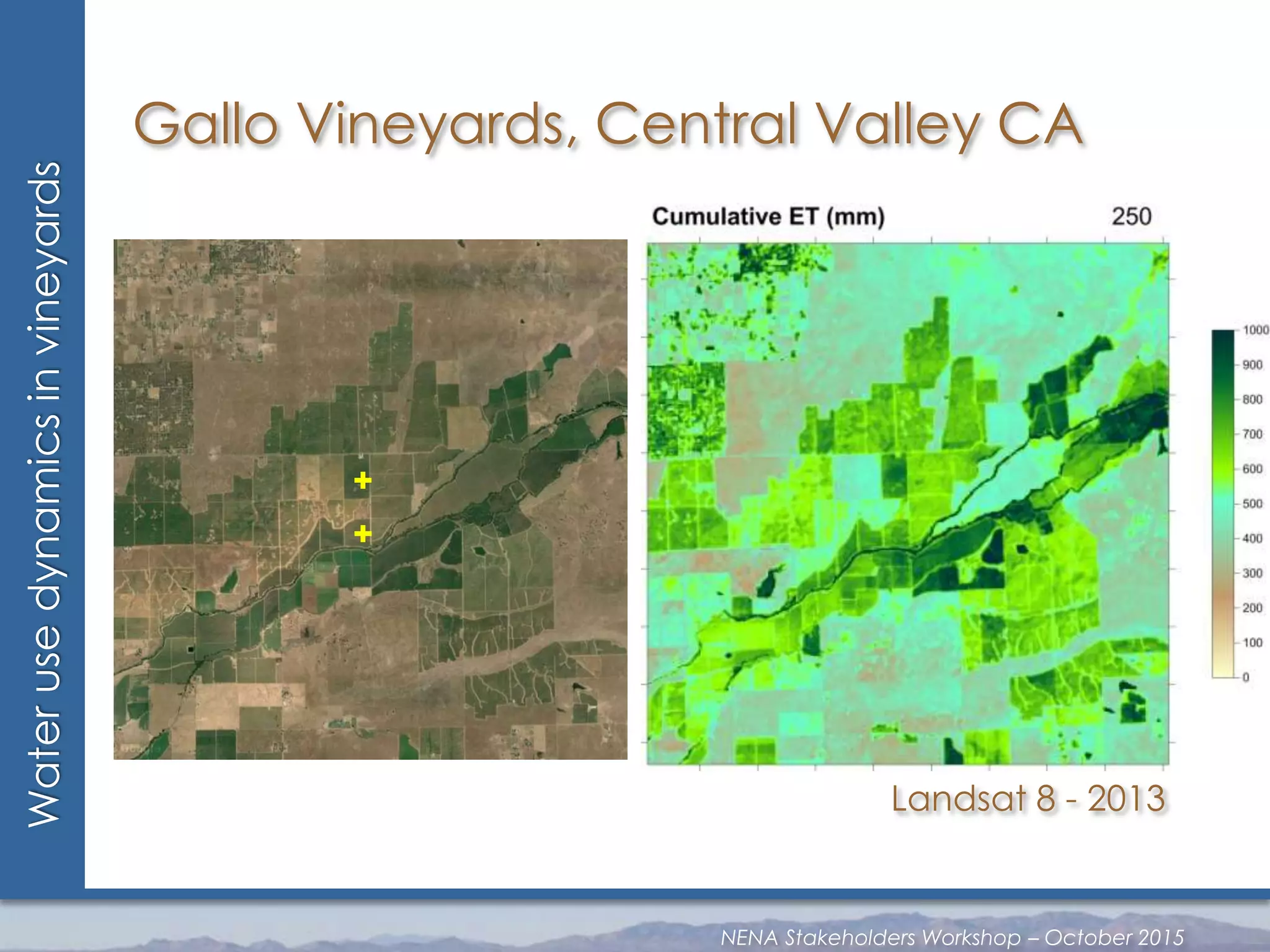 Landsat 8 - 2013
Waterusedynamicsinvineyards
NENA Stakeholders Workshop – October 2015
Gallo Vineyards, Central Valley CA
 