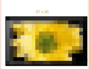 27 x 20 