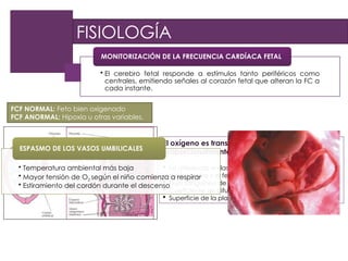 monitorizacic3b3n-fetal registro cardiotocografico | PPTX