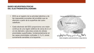 BASES NEUROFISIOLÓGICAS
DEL ELECTROENCEFALOGRAMA
Carrillo R, Castelazo JA. Neuromonitoreo en medicina intensiva Y anestesiología. Editorial Alfil, S.A. de C.V; 2011. .
• EEG es el registro de la actividad eléctrica y de
las respuestas evocadas del encéfalo que se
efectúan a partir de la superficie del cuero
cabelludo.
• Cada electrodo del EEG proporciona una visión
continua de una región esférica de cerca de 2 a 3
cm de diámetro; esta área consta de células
piramidales superficiales, fundamentalmente en
las capas piramidales corticales 3, 5 y 6, zonas
sumamente sensibles a la isquemia.
 