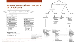 Carrillo-Esper R, Carrillo-Córdoba LD. Saturación de oxigeno del bulbo de
la yugular. Rev Med Anest. 2007; 30(4): 225-232
Determinantes de la
SvyO2 y su interrelación con
el CMRO2 y el FSC.
SATURACIÓN DE OXÍGENO DEL BULBO
DE LA YUGULAR
Algoritmo terapéutico basado
en el monitoreo de la saturación
venosa del bulbo de la yugular
(SvyO2) y la presión
intracraneana
 