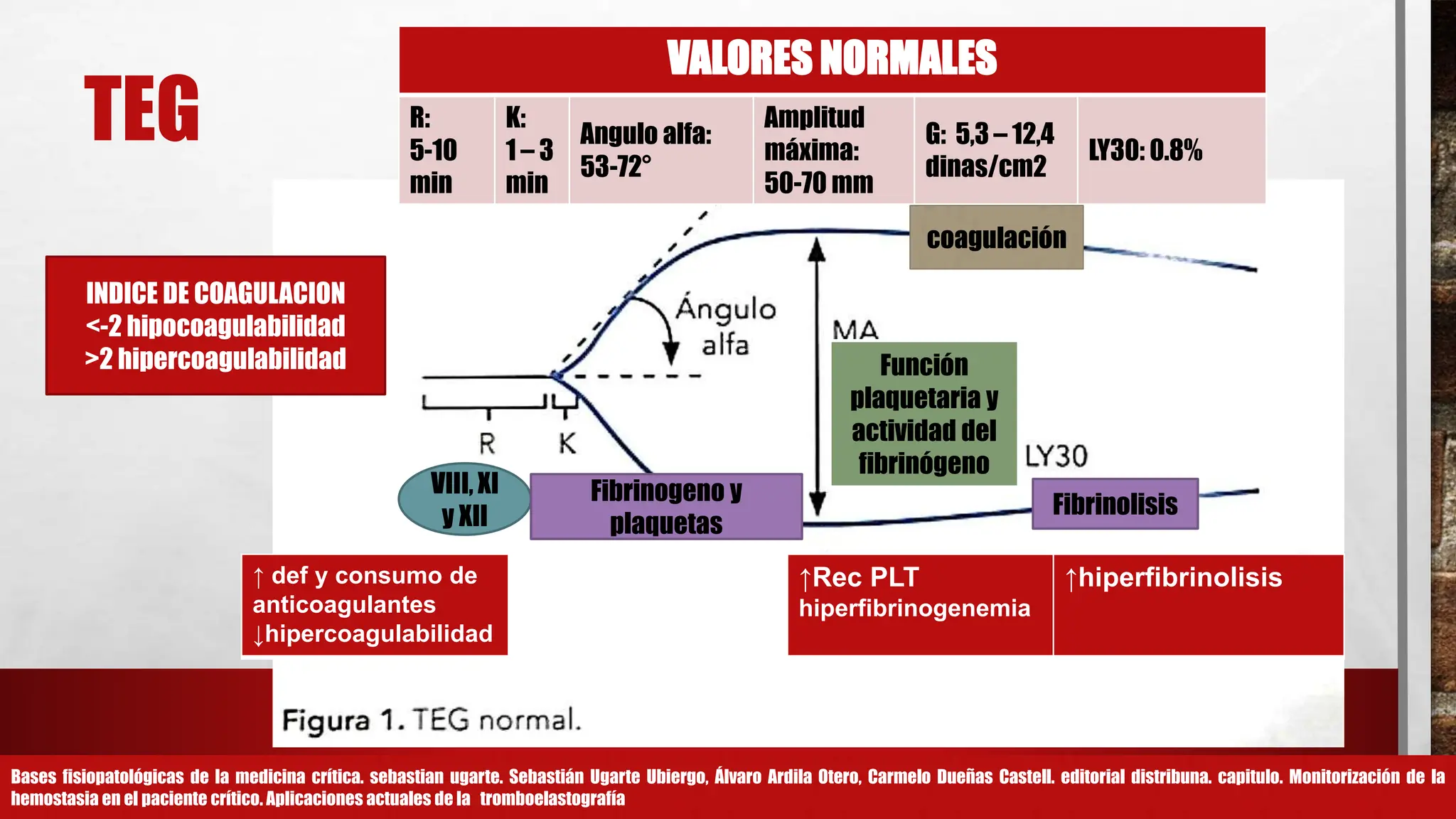 MONITORIZACION HEMOSTASIA TEG Y ROTEM.pptx