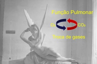 Função Pulmonar

O2        CO2

Troca de gases
 