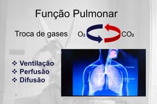 Função Pulmonar
Troca de gases   O2     CO2



 Ventilação
 Perfusão
 Difusão
 
