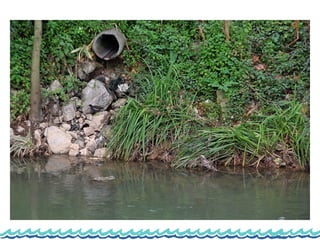 Monitorização do rio lis