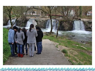 Monitorização do rio lis