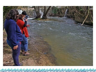 Monitorização do rio lis