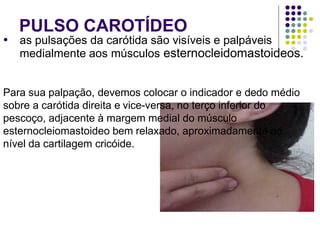 PULSO CAROTÍDEO
● as pulsações da carótida são visíveis e palpáveis
medialmente aos músculos esternocleidomastoideos.
Para sua palpação, devemos colocar o indicador e dedo médio
sobre a carótida direita e vice-versa, no terço inferior do
pescoço, adjacente à margem medial do músculo
esternocleiomastoideo bem relaxado, aproximadamente ao
nível da cartilagem cricóide.
 