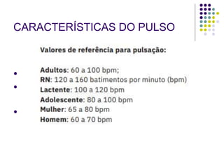 CARACTERÍSTICAS DO PULSO
●
●
●
 