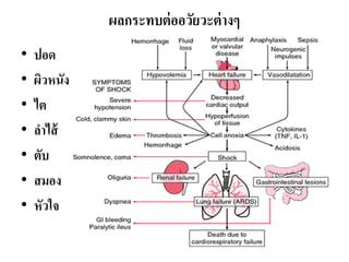 ผลกระทบต่ออวัยวะต่างๆ
• ปอด
• ผิวหนัง
• ไต
• ลําไส้
• ตับ
• สมอง
• หัวใจ
 