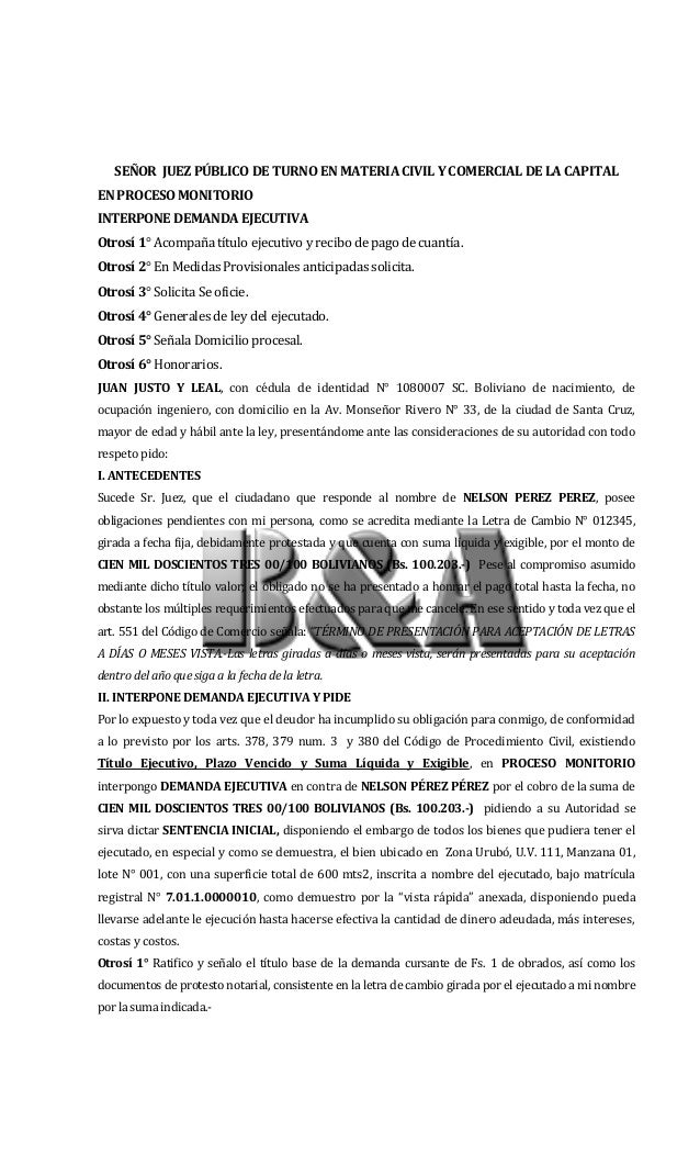 Demanda ejecutiva modelo Demanda ejecutiva modelo