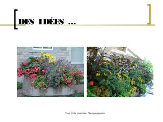 DES IDÉES …

Tous droits réservés - Plani-paysage inc.

 