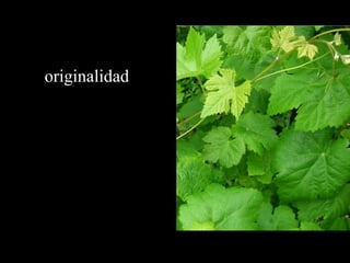 originalidad
 