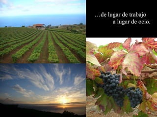…de lugar de trabajo
      a lugar de ocio.
 