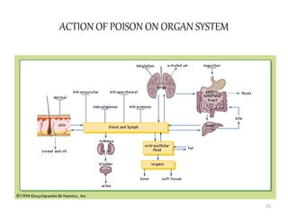 ACTION OF POISON ON ORGAN SYSTEM
25
 